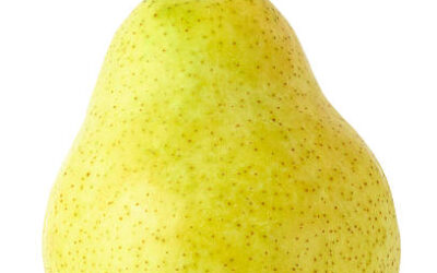 Single pear isolated on a white background with clipping path